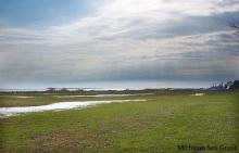 Saginaw Bay during a period of low water levels (Michigan Sea Grant) Low water levels - Saginaw Bay