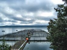 S. Beaulieu) S. Beaulieu)